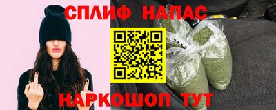 индика Кингисепп