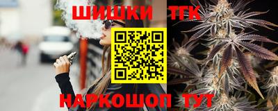 индика Кингисепп