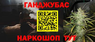 индика Кингисепп