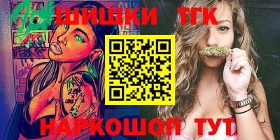 индика Кингисепп