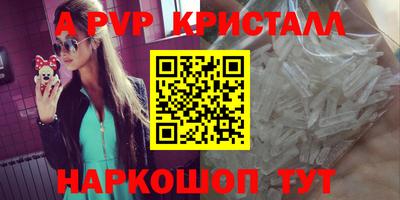 индика Кингисепп