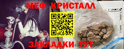 индика Кингисепп