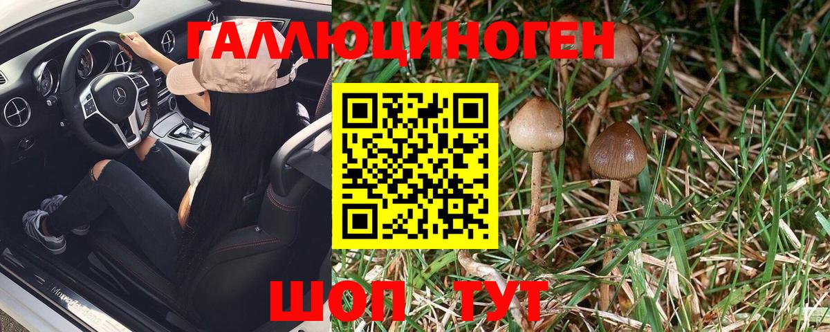 Мытищи  Псилоцибиновые грибы Psilocybine cubensis  Псилоцибиновые грибы Psilocybine cubensis  Вход с VPN 