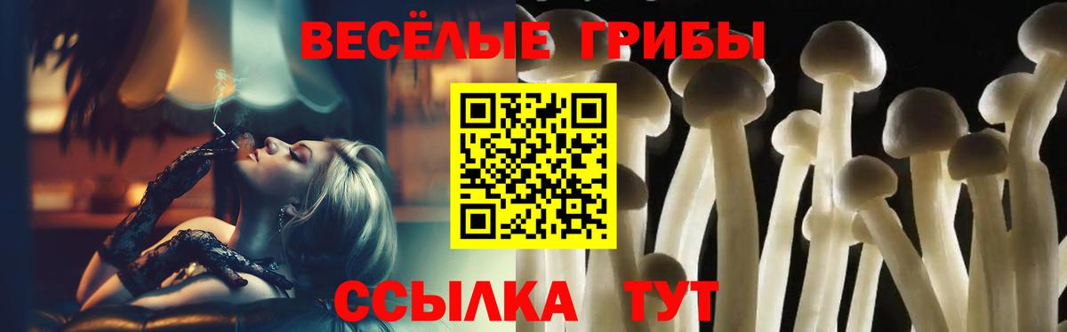 Псилоцибиновые грибы Magic Shrooms Мытищи